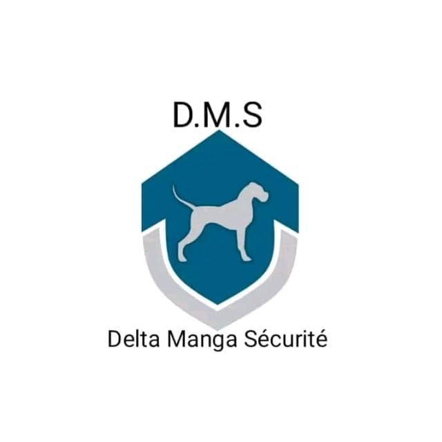 Logo DMS